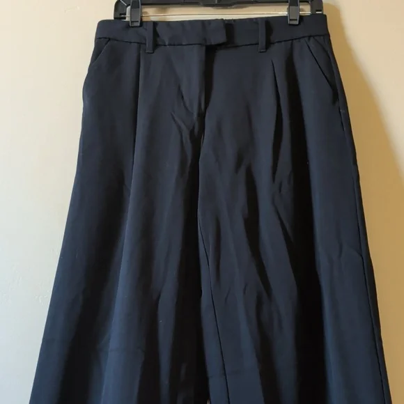 American Eagle Flat Wide Leg Pant - Picture 12 of 14
